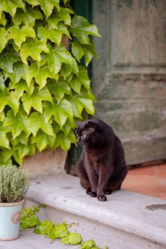 WhatsApp Image 2026-01-20 at 11.07.43 (2)